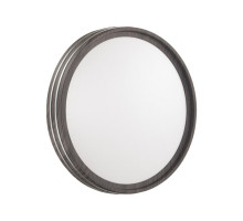 Настенно-потолочный светильник Sonex Pale Trosto 7604/CL