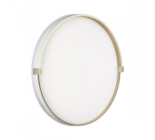 Настенно-потолочный светильник Sonex Pale Olidi White 7646/DLN