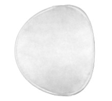 Настенно-потолочный светильник Lightstar Genova 610646