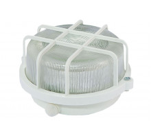 Настенно-потолочный светильник TDM Electric НПП 03-100-005.04 SQ0311-0001
