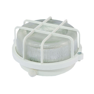 Настенно-потолочный светильник TDM Electric НПП 03-100-005.04 SQ0311-0001