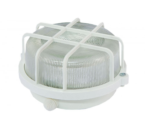 Настенно-потолочный светильник TDM Electric НПП 03-100-005.04 SQ0311-0001 Настенно-потолочный светильник TDM Electric НПП 03-100-005.04 SQ0311-0001
