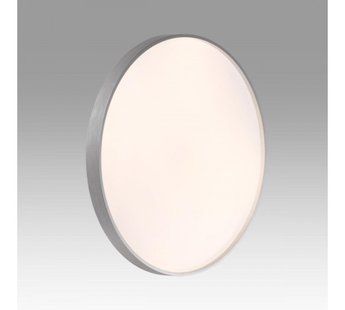 Настенно-потолочный светильник Sonex Tan Gaby 7784/ELN