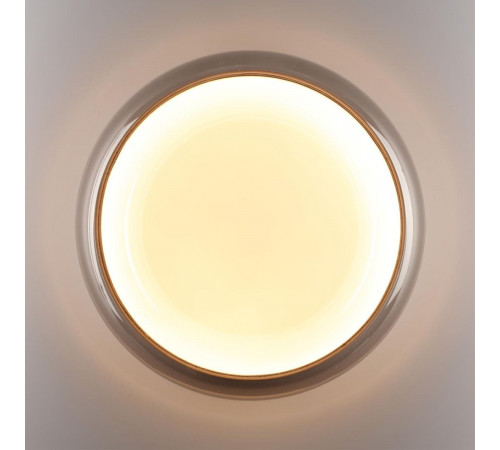 Настенно-потолочный светильник Sonex Color Portman 7777/ELN