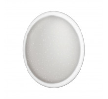 Настенно-потолочный светильник Sonex Pale Jolly 7774/ELN