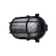 Настенно-потолочный светильник TDM Electric Евро НБП 02-60-004.03У SQ0312-0002