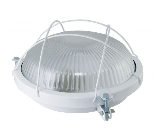 Настенно-потолочный светильник TDM Electric Рыбий глаз НПП 03-100-020.02 SQ0311-0022 Настенно-потолочный светильник TDM Electric Рыбий глаз НПП 03-100-020.02 SQ0311-0022