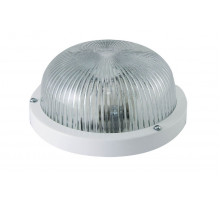 Настенно-потолочный светильник TDM Electric НПП 03-60-001 SQ0311-0023