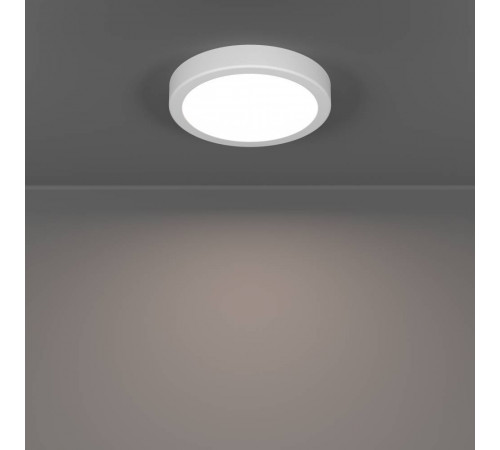 Настенно-потолочный светильник Eglo Fueva 6 901332