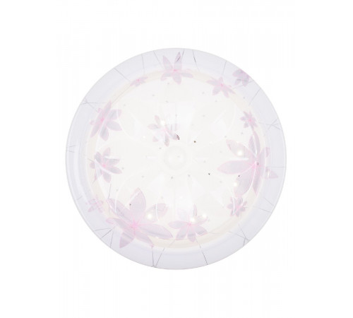 Настенно-потолочный светодиодный светильник TDM Electric Астра LED СПС 11 SQ0329-0161 Настенно-потолочный светодиодный светильник TDM Electric Астра LED СПС 11 SQ0329-0161