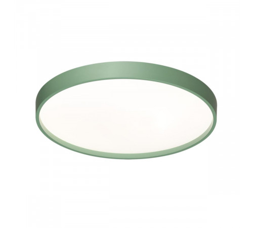 Настенно-потолочный светильник Sonex Color Mavic 7743/ELN