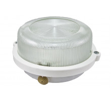 Настенно-потолочный светильник TDM Electric НПП 03-100-005.03 SQ0311-0003