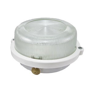 Настенно-потолочный светильник TDM Electric НПП 03-100-005.03 SQ0311-0003