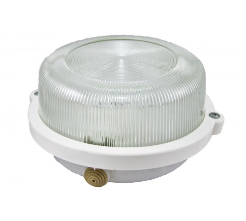 Настенно-потолочный светильник TDM Electric НПП 03-100-005.03 SQ0311-0003 Настенно-потолочный светильник TDM Electric НПП 03-100-005.03 SQ0311-0003