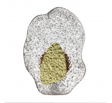 Настенный светильник Odeon Light L-Vision Coralla 5460/12WLA