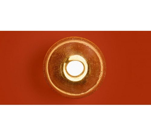 Настенный светильник Freya Mote FR5601WL-01YA