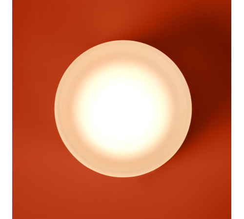 Настенный светильник Freya Retro FR5603WL-L8W