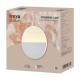 Настенный светильник Freya Market FR6199WL-L4W