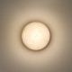 Настенный светильник Odeon Light Nature Candela 7190/6WLA