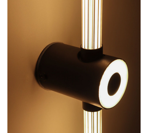 Настенный светильник Arte Lamp Atmos A3616AL-1BK