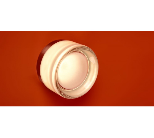 Настенный светильник Freya Retro FR5603WL-L8TR