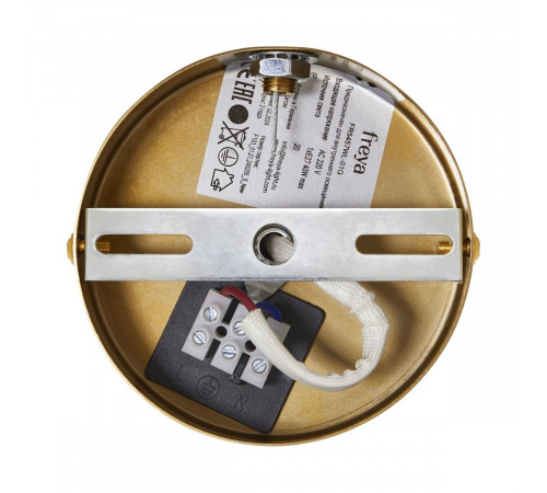 Настенный светильник Freya Cosmic FR5457WL-01G