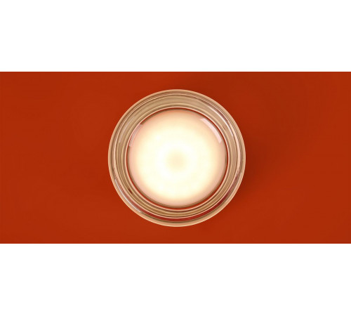 Настенный светильник Freya Retro FR5603WL-L8TR