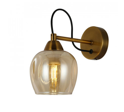 Настенный светильник EVOLUCE ACRO SLE110001-01