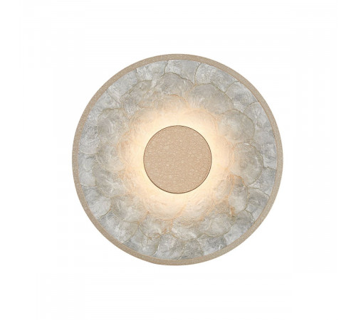 Настенный светильник Favourite Solarius 4858-1W