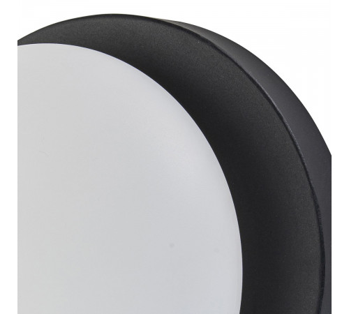 Настенный светильник Escada Meteor 10273/1LED Black