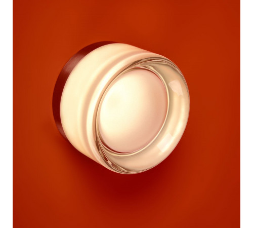 Настенный светильник Freya Retro FR5603WL-L8TR