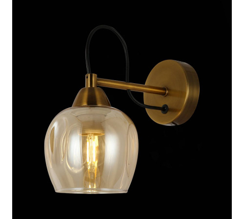 Настенный светильник EVOLUCE ACRO SLE110001-01