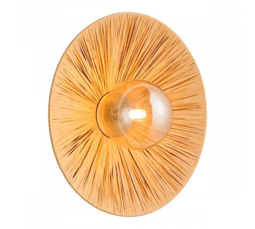 Настенный светильник Lussole Sunflower LSP-5009