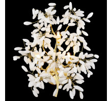 Настенный светильник Wertmark Dorothy WE193.03.401