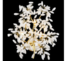 Настенный светильник Wertmark Dorothy WE193.03.401