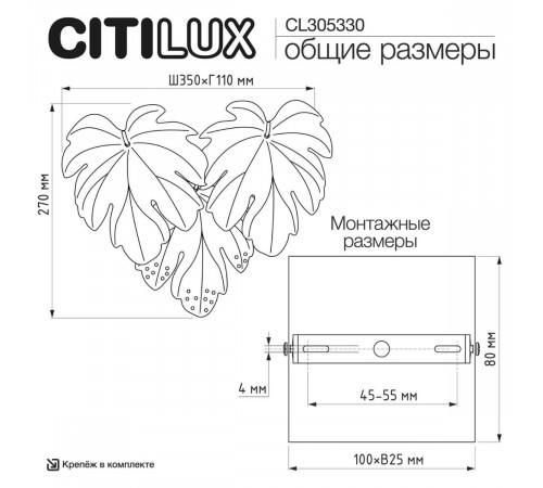Настенный светильник Citilux Dryad CL305330