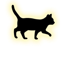 Настенный светильник Escada Tom 10209/SG LED