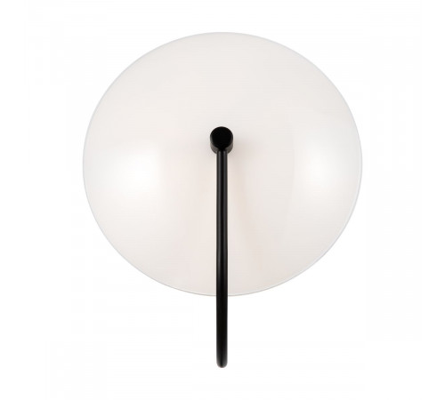 Настенный светильник Freya Ellipse FR5320WL-01B