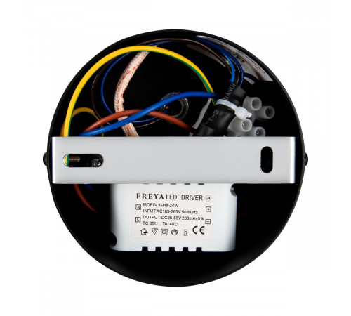 Настенный светильник Freya Mystery FR6063WL-L12B