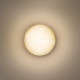 Настенный светильник Odeon Light Nature Candela 7190/6WL