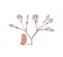 Настенный светильник Crystal Lux Evita EVITA AP9 COPPER/TRANSPARENT