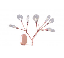 Настенный светильник Crystal Lux Evita EVITA AP9 COPPER/TRANSPARENT