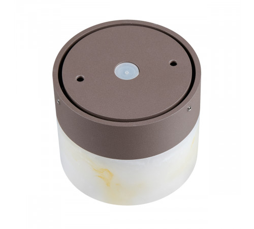 Настенный светильник Odeon Light Nature Candela 7190/6WL