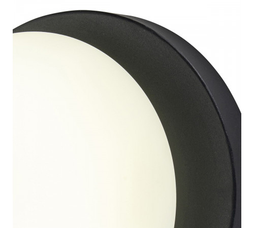 Настенный светильник Escada Meteor 10273/1LED Black