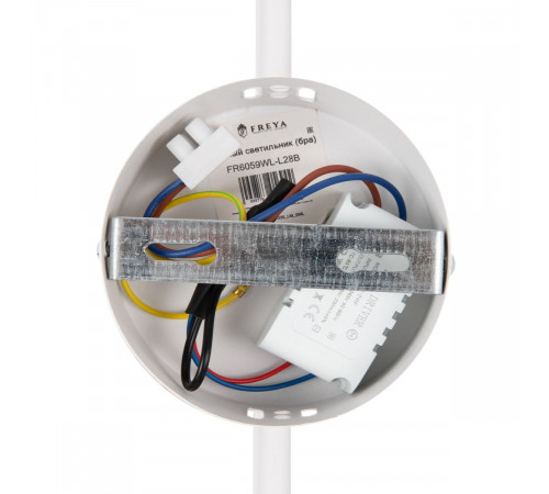Настенный светильник Freya Fancy FR6059WL-L28W