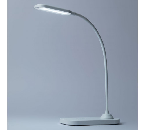 Настольная аккумуляторная лампа Эра NLED-524-6W-W Б0068571