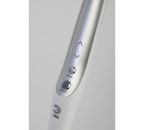 Настольная лампа Эра NLED-497-12W-S Б0052772