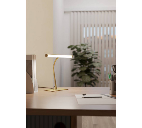 Настольная лампа Eglo Riccione 901983