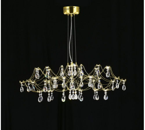 Подвесная люстра Myfar Ersilia MR2663-60P-50AD