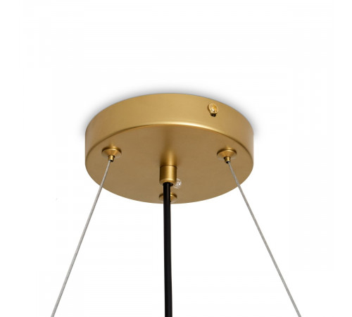 Подвесная люстра Freya Maffle FR5578PL-06G